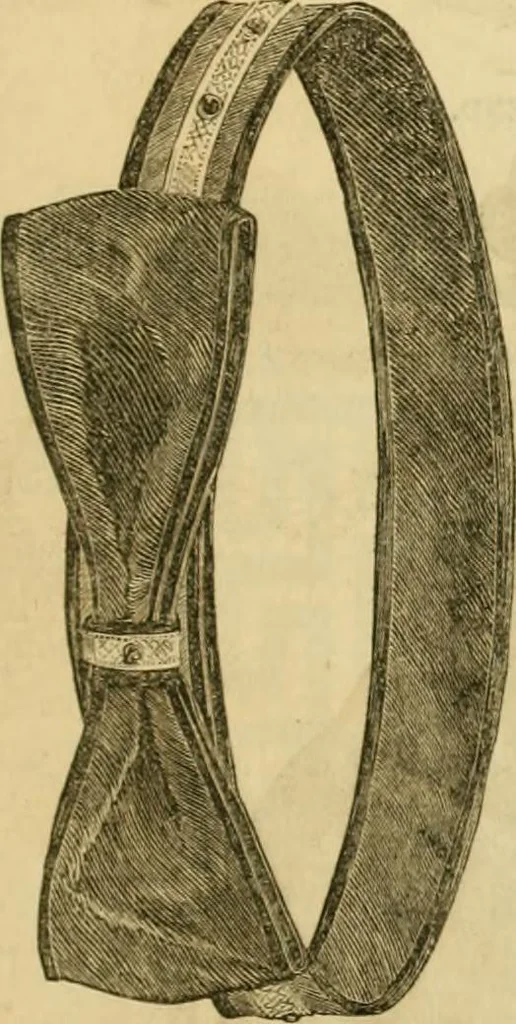 An illustration from Godey's lady's book 1864 Jan -June; Jul - Dec, 1864, leaf 189