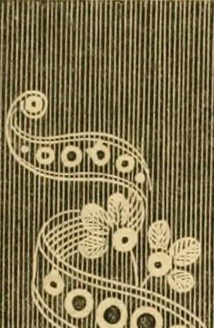 An illustration from Godey's lady's book 1864 Jan -June; Jul - Dec, 1864, leaf 189