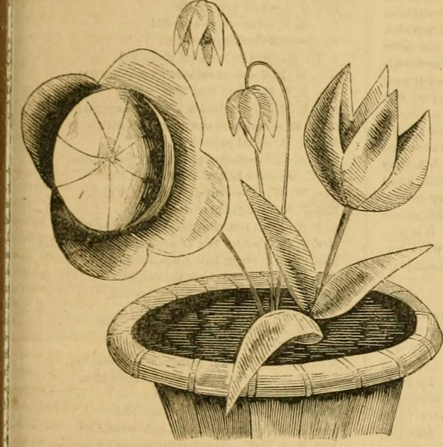 An illustration from Godey's lady's book 1864 Jan -June; Jul - Dec, 1864, leaf 307