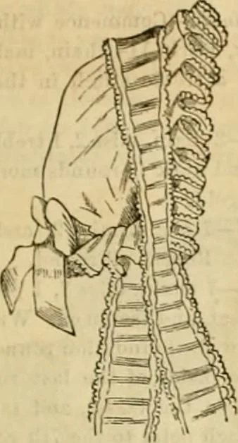 An illustration from Godey's lady's book 1864 Jan -June; Jul - Dec, 1864, leaf 373