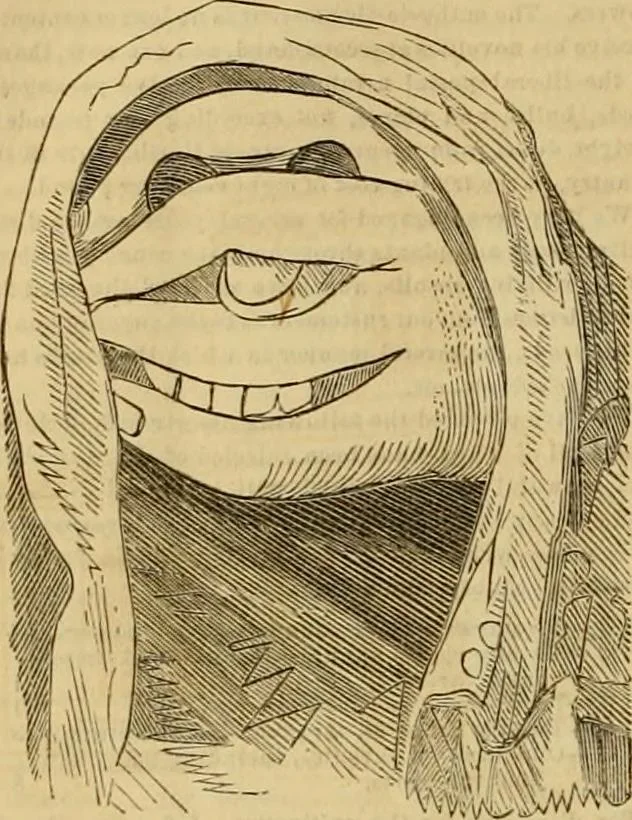 An illustration from Godey's lady's book 1864 Jan -June; Jul - Dec, 1864, leaf 392