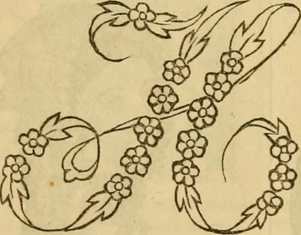 An illustration from Godey's lady's book 1864 Jan -June; Jul - Dec, 1864, leaf 468