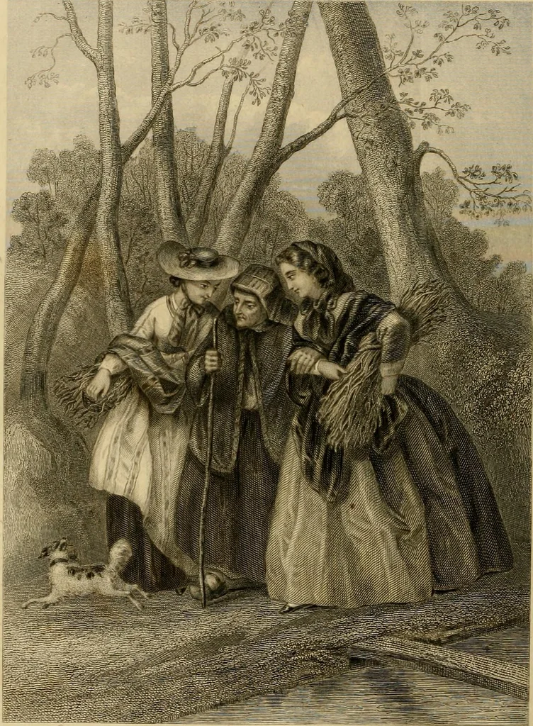An illustration from Godey's lady's book 1864 Jan -June; Jul - Dec, 1864, leaf 488