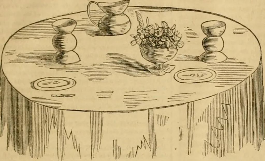 An illustration from Godey's lady's book 1864 Jan -June; Jul - Dec, 1864, leaf 569