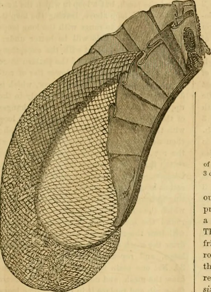 An illustration from Godey's lady's book 1864 Jan -June; Jul - Dec, 1864, leaf 653