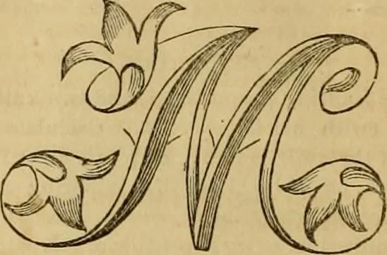 An illustration from Godey's lady's book 1864 Jan -June; Jul - Dec, 1864, leaf 658