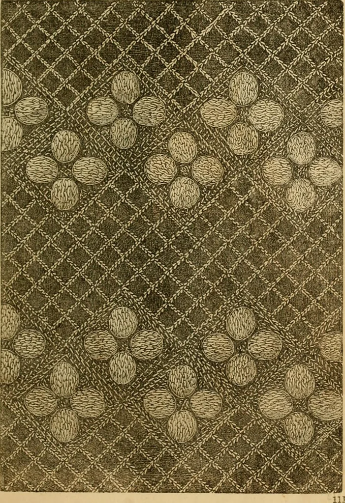 An illustration from Godey's lady's book 1864 Jan -June; Jul - Dec, 1864, leaf 687