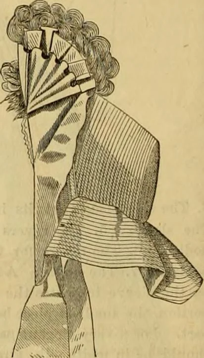 An illustration from Godey's lady's book 1864 Jan -June; Jul - Dec, 1864, leaf 738