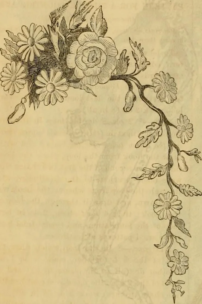 An illustration from Godey's lady's book 1864 Jan -June; Jul - Dec, 1864, leaf 740