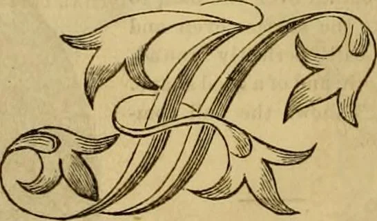An illustration from Godey's lady's book 1864 Jan -June; Jul - Dec, 1864, leaf 744