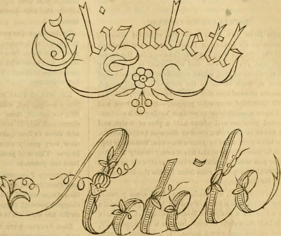 An illustration from Godey's lady's book 1864 Jan -June; Jul - Dec, 1864, leaf 745