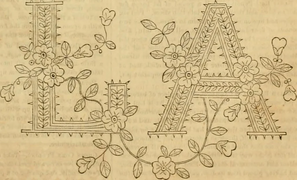 An illustration from Godey's lady's book 1864 Jan -June; Jul - Dec, 1864, leaf 745