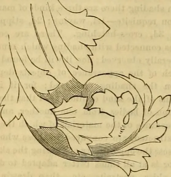 An illustration from Godey's lady's book 1864 Jan -June; Jul - Dec, 1864, leaf 78