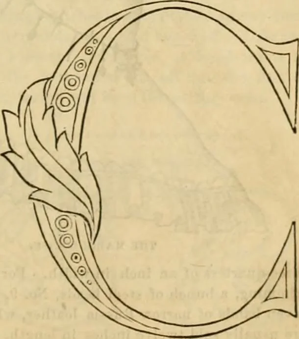 An illustration from Godey's lady's book 1864 Jan -June; Jul - Dec, 1864, leaf 83