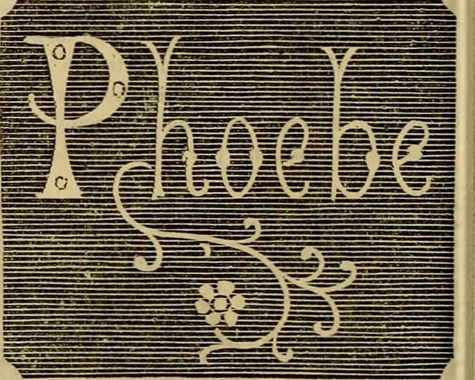An illustration from Godey's lady's book 1864 Jan -June; Jul - Dec, 1864, leaf 916