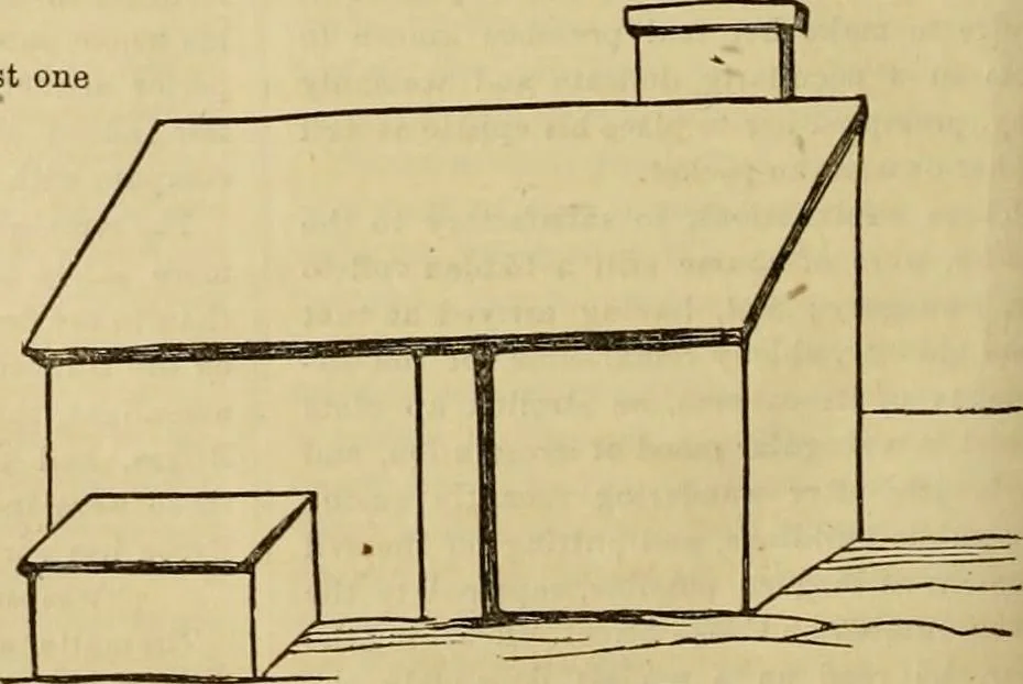 An illustration from Godey's lady's book 1864 Jan -June; Jul - Dec, 1864, leaf 978