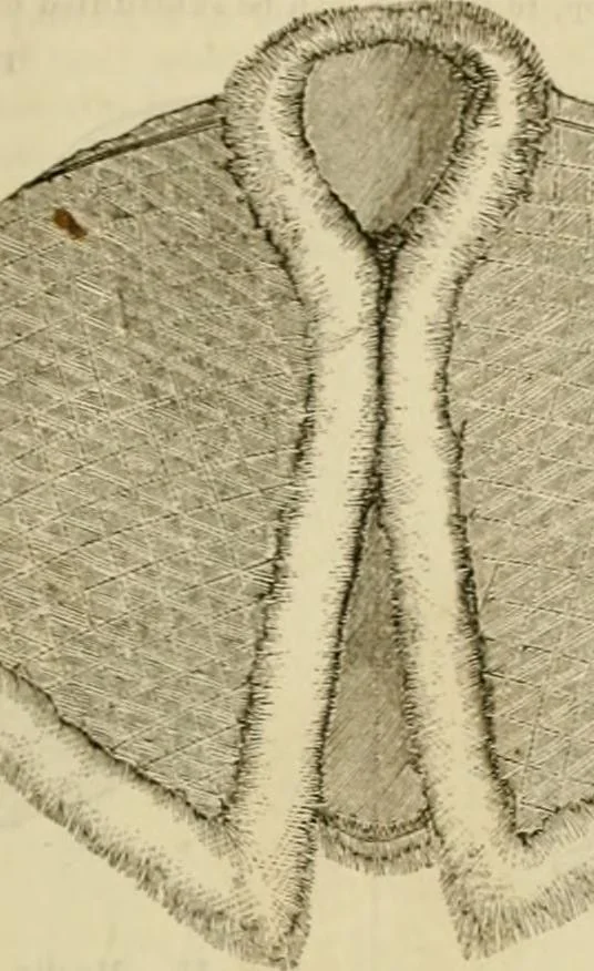 An illustration from Godey's lady's book 1864 Jan -June; Jul - Dec, 1864, leaf 995