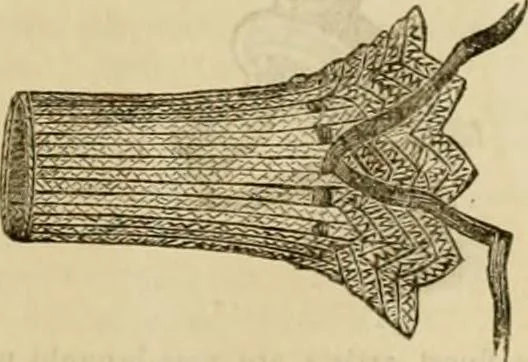 An illustration from Godey's lady's book 1864 Jan -June; Jul - Dec, 1864, leaf 999