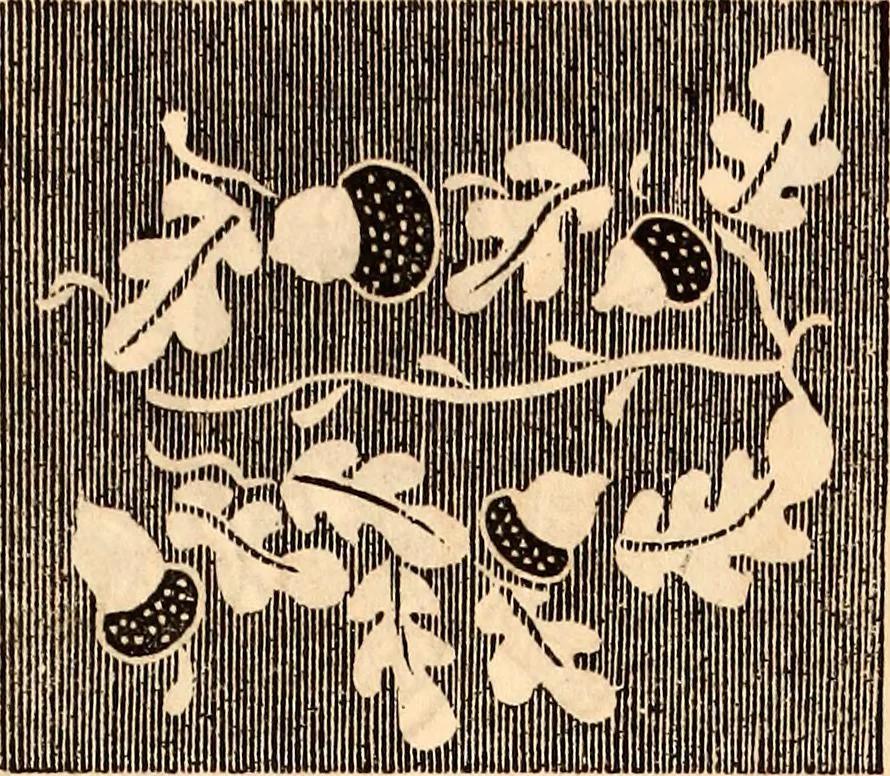 An illustration from Godey's lady's book, 1840, leaf 17