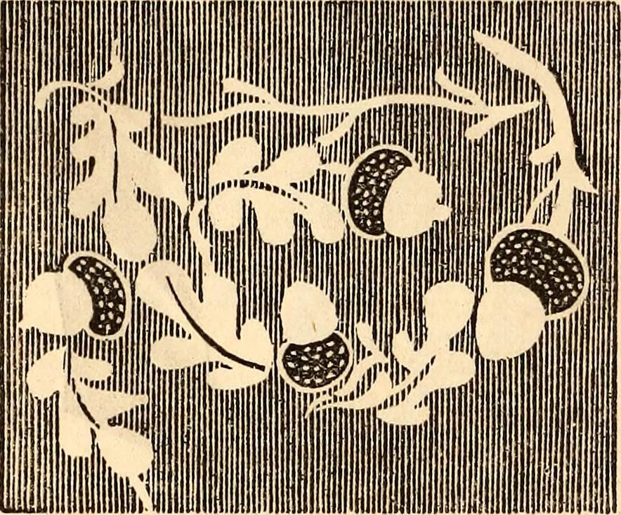 An illustration from Godey's lady's book, 1840, leaf 17