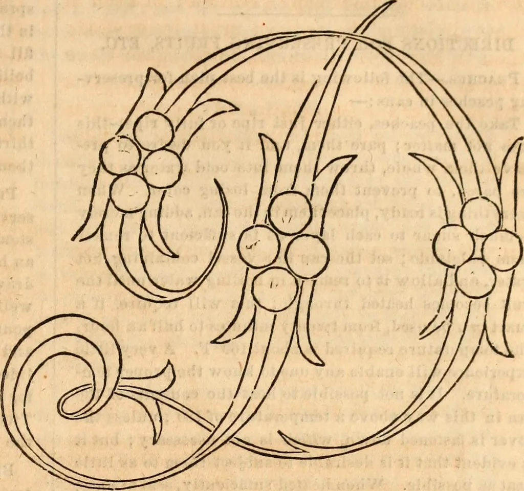 An illustration from Godey's lady's book, 1840, leaf 72