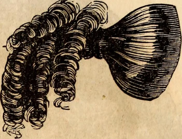 An illustration from Godey's lady's book, 1840, leaf 16