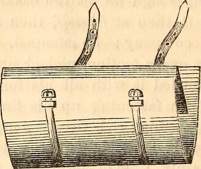 An illustration from Godey's lady's book, 1840, leaf 31