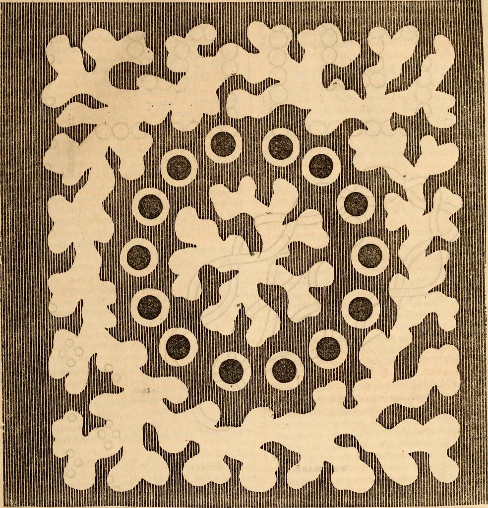 An illustration from Godey's lady's book, 1840, leaf 79