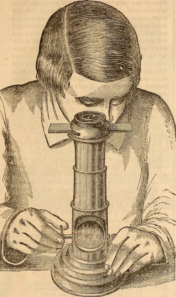 An illustration from Godey's lady's book, 1840, leaf 93