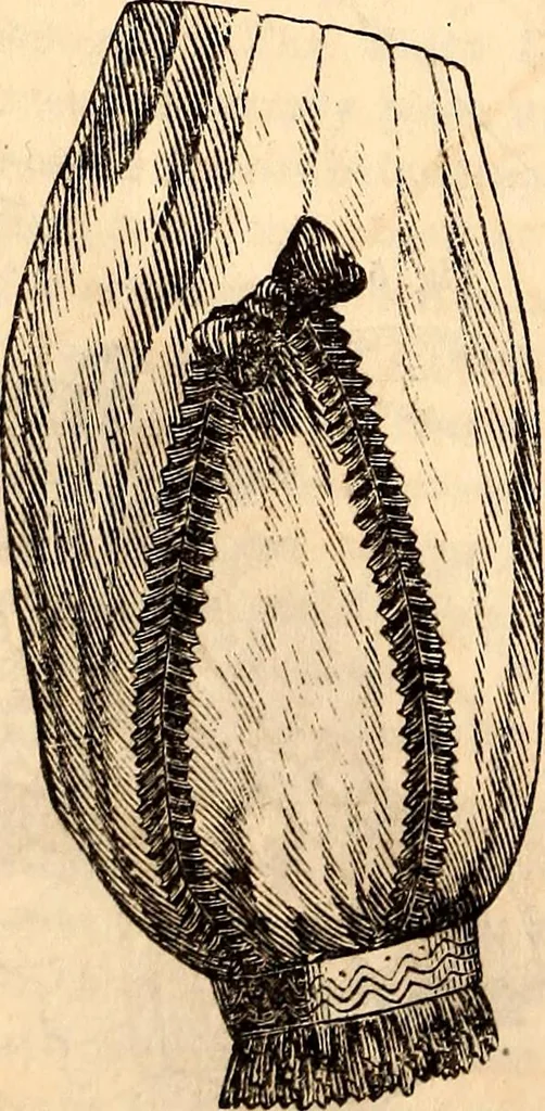 An illustration from Godey's lady's book, 1840, leaf 77