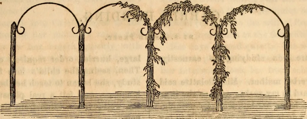 An illustration from Godey's lady's book, 1840, leaf 24