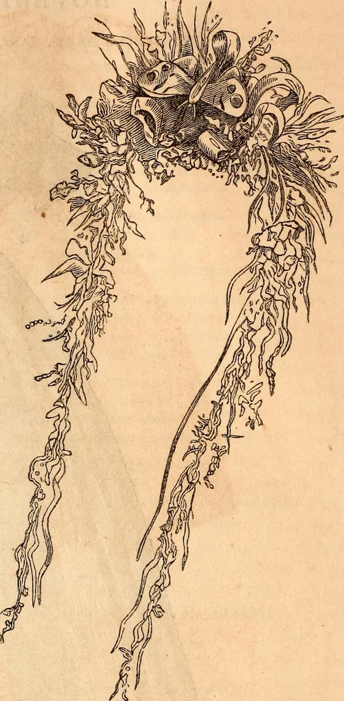 An illustration from Godey's lady's book, 1840, leaf 65