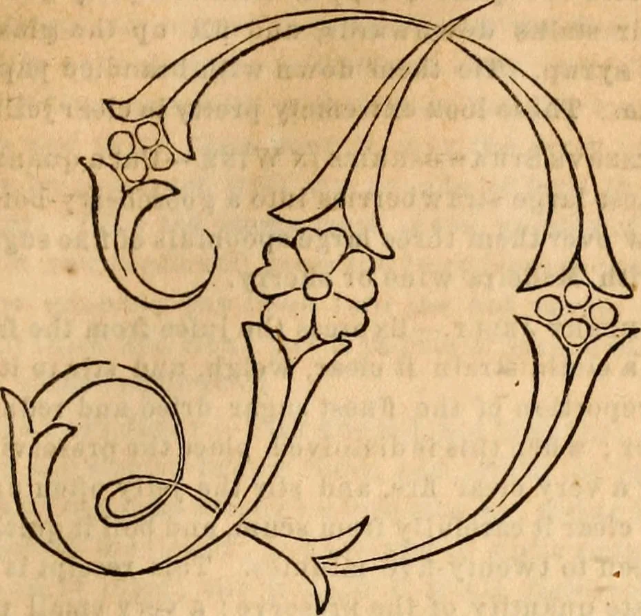 An illustration from Godey's lady's book, 1840, leaf 72