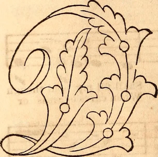An illustration from Godey's lady's book, 1840, leaf 25