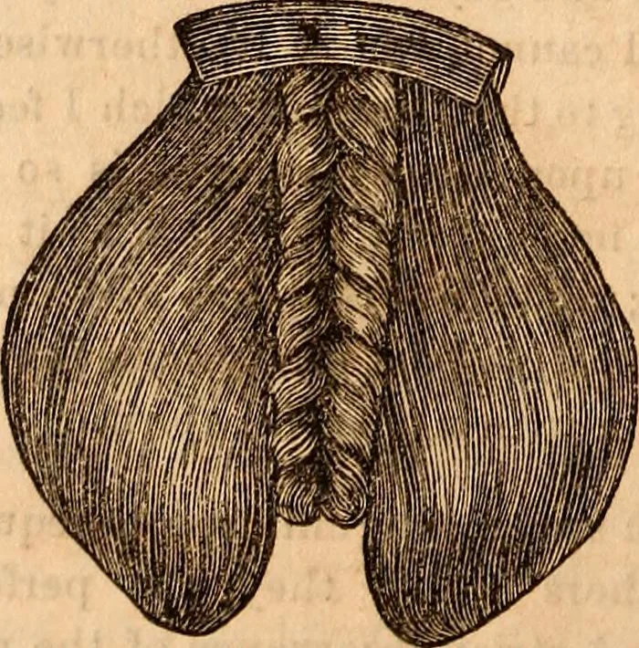 An illustration from Godey's lady's book, 1840, leaf 75