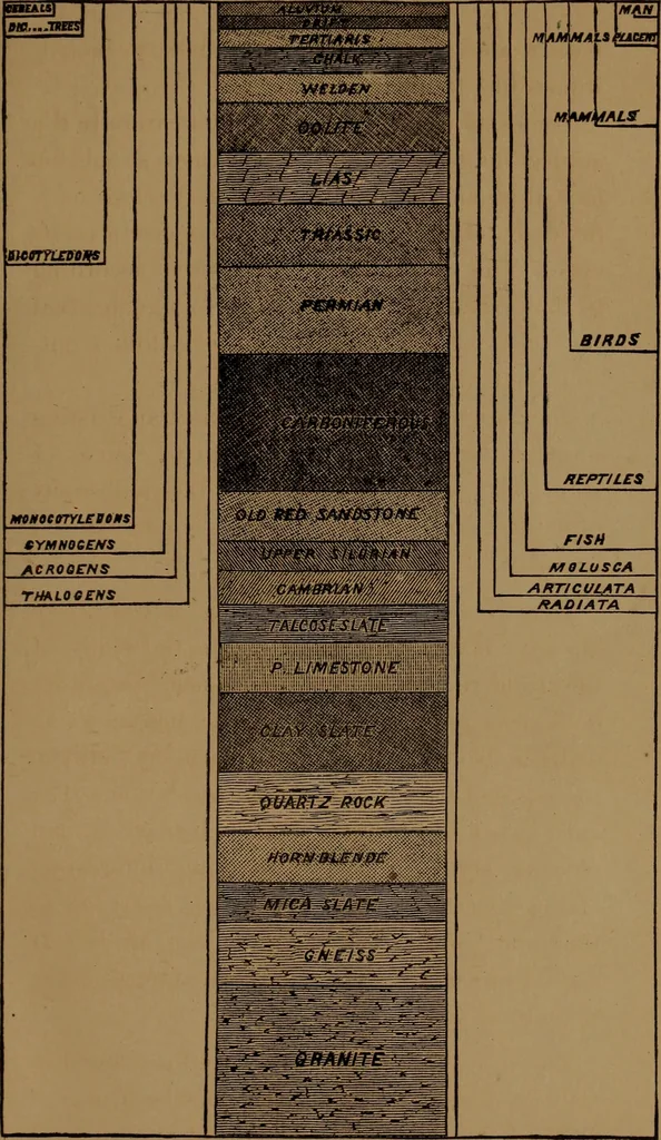 An illustration from God in nature and revelation, 1875, leaf 17