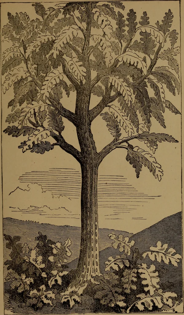 An illustration from God in nature and revelation, 1875, leaf 429