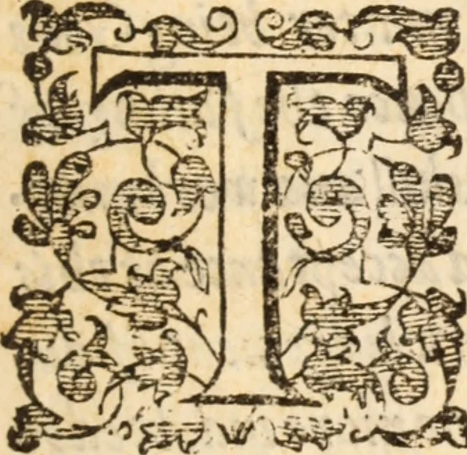 An illustration from God made visible in His workes, or, A treatise of the externall workes of God .., 1641, leaf 4