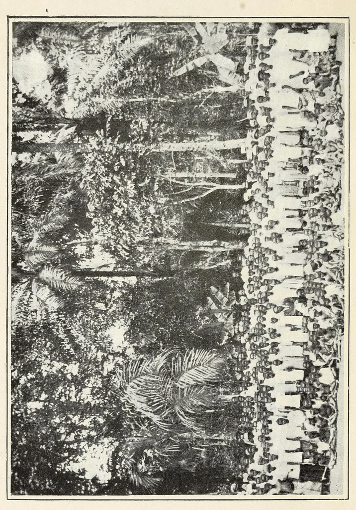 An illustration from God's black diamonds ; chats with boys and girls about their dusky kinsfolk in Africa, 1919, leaf 6