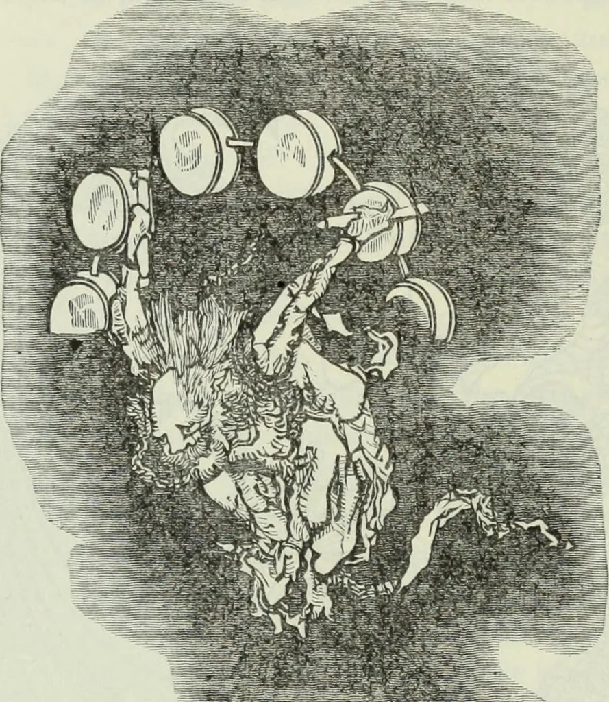 An illustration from Gods and devils of mankind : the whole dark picture strikingly contrasted with the beauty and purity of revealed religion / by Frank S. Dobbins ; assisted by Hon. S. Wells Williams, 1897, leaf 319