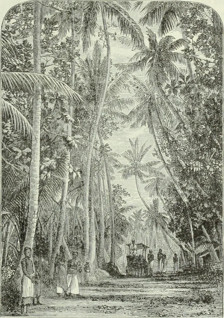 An illustration from Gods and devils of mankind : the whole dark picture strikingly contrasted with the beauty and purity of revealed religion / by Frank S. Dobbins ; assisted by Hon. S. Wells Williams, 1897, leaf 544