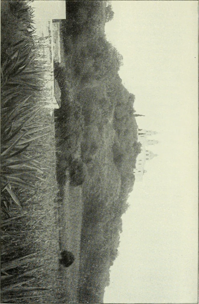 An illustration from Gods and devils of mankind : the whole dark picture strikingly contrasted with the beauty and purity of revealed religion / by Frank S. Dobbins ; assisted by Hon. S. Wells Williams, 1897, leaf 546