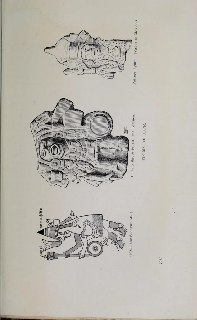 An illustration from The gods of Mexico, 1923, leaf 271