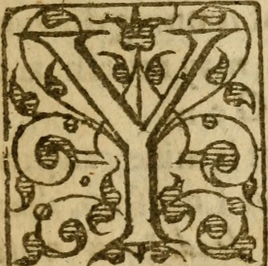 An illustration from Gods treasurie displayed, or, The promises, and threatnings of Scripture &c. : methodically composed, for the helpe of weake memories, and contrived into question and answere, for the comfort of Sions mourners, and for the awakening of the Laodicean-like secure, 1630, leaf 6