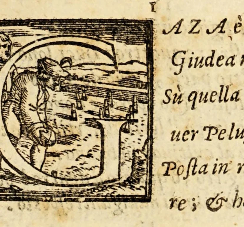 An illustration from Goffredo, overo, Gierusalemme liberata, : poema heroico, 1611, leaf 193
