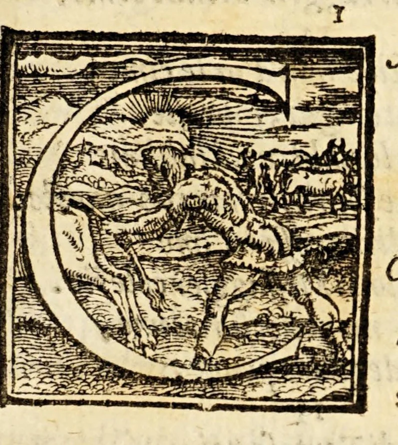 An illustration from Goffredo, overo, Gierusalemme liberata, : poema heroico, 1611, leaf 21