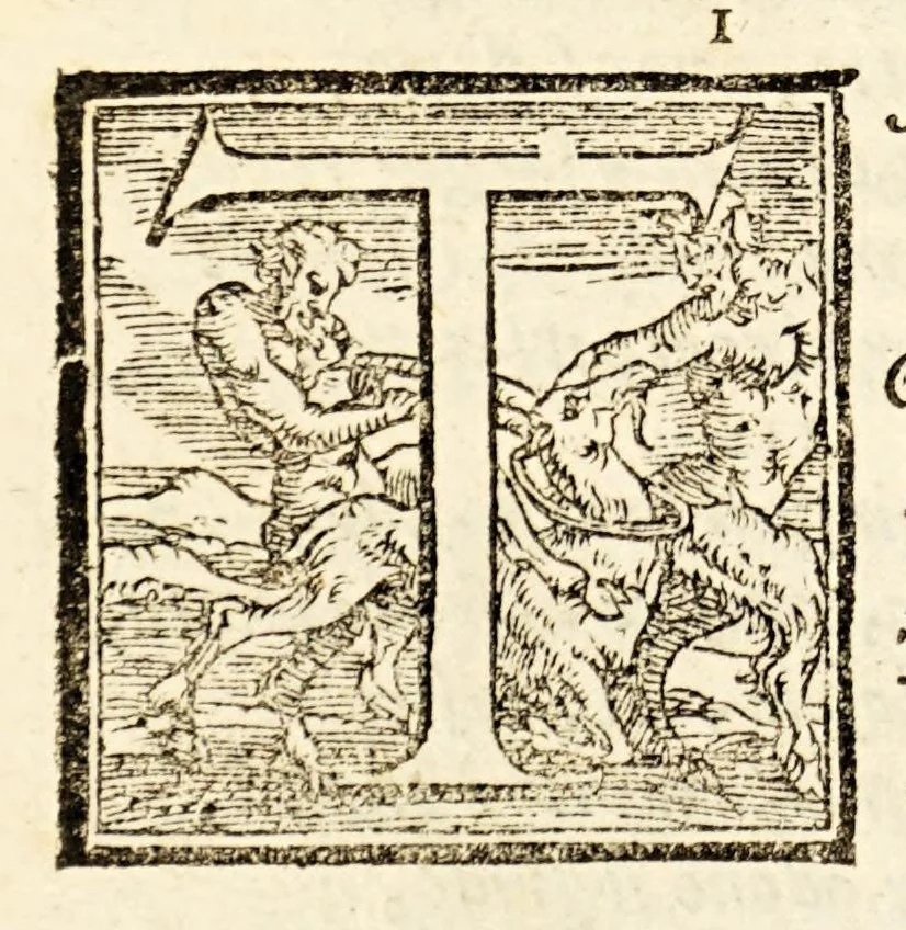 An illustration from Goffredo, overo, Gierusalemme liberata, : poema heroico, 1611, leaf 298