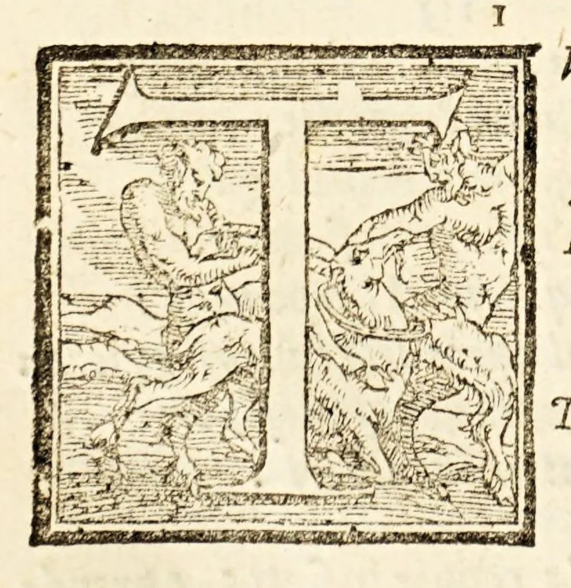 An illustration from Goffredo, overo, Gierusalemme liberata, : poema heroico, 1611, leaf 310