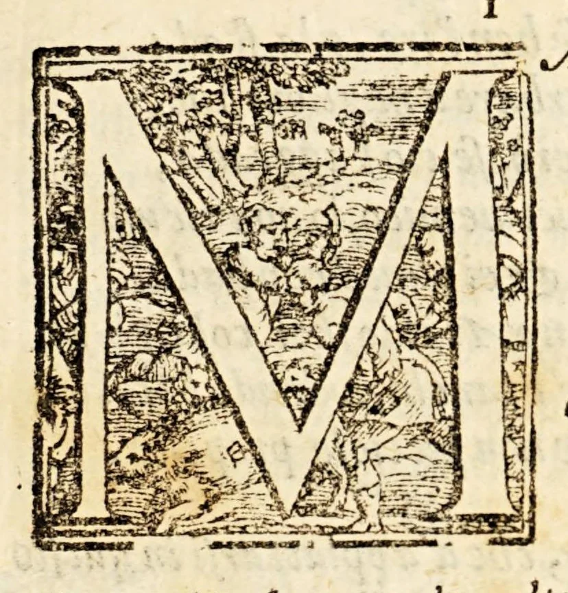 An illustration from Goffredo, overo, Gierusalemme liberata, : poema heroico, 1611, leaf 75