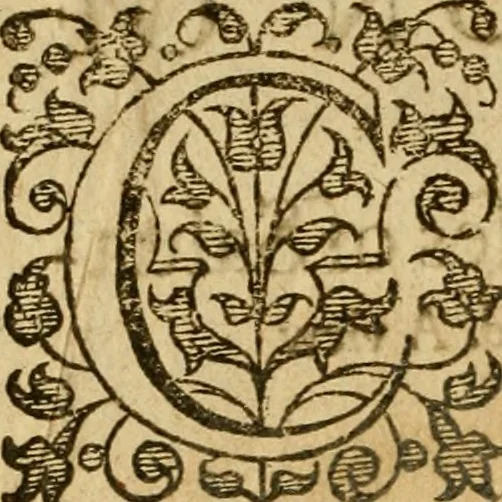 An illustration from A golden chaine: or, the description of theologie : containing the order of the causes of salvation and damnation, according to Gods word .., 1600, leaf 3